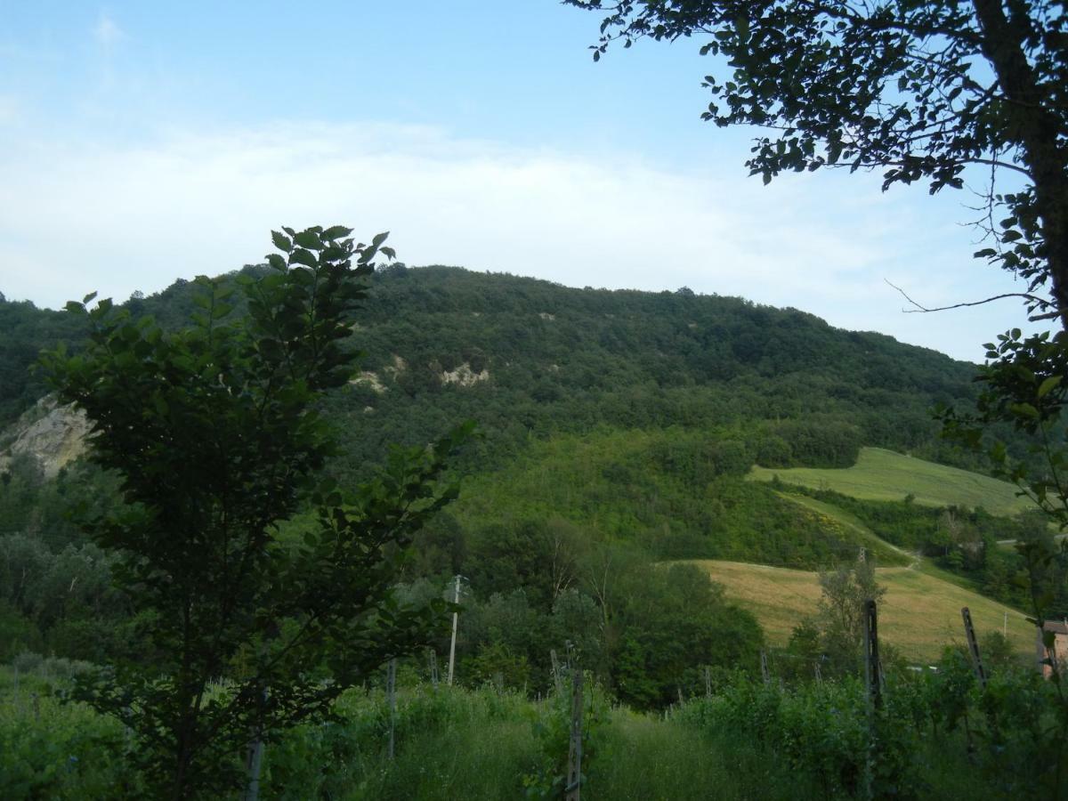 La Colombarola Agriturismo Farneto 외부 사진