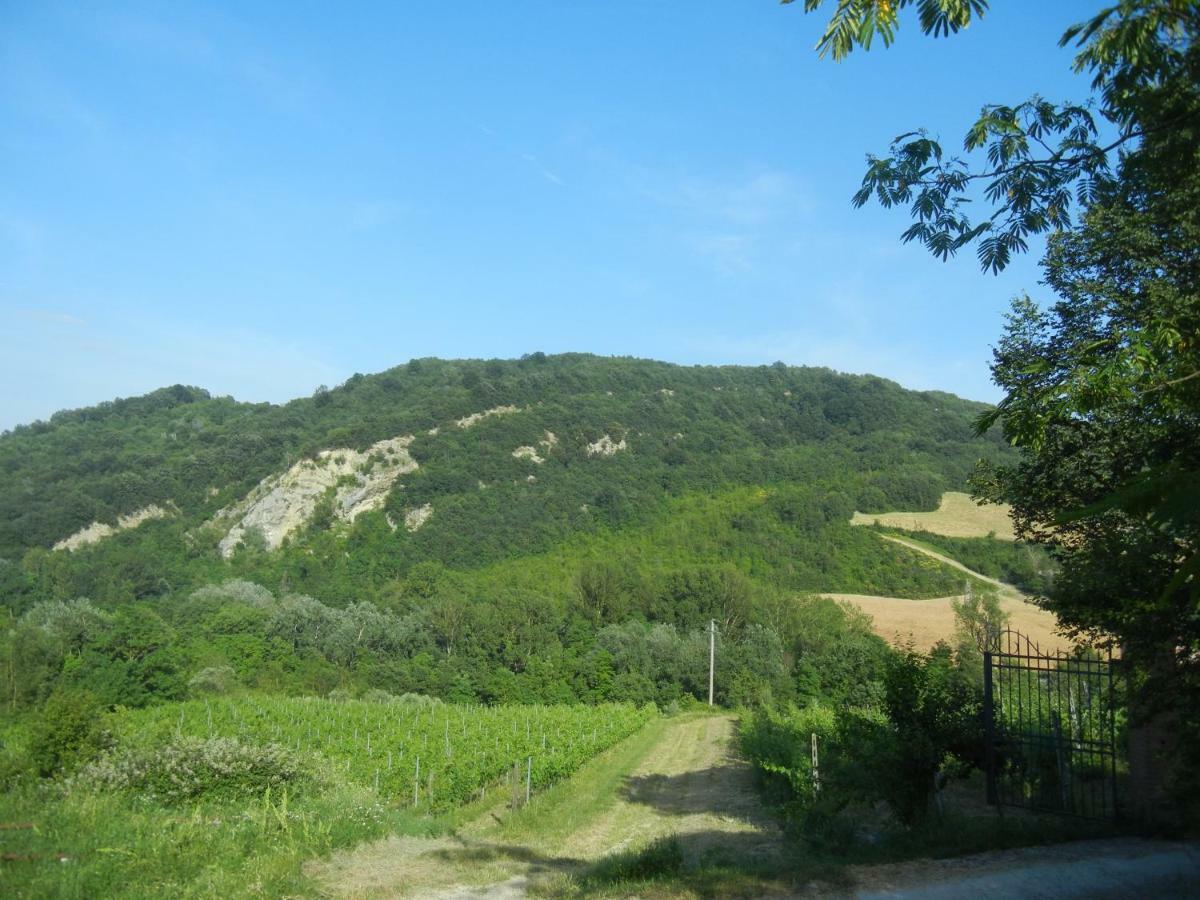 La Colombarola Agriturismo Farneto 외부 사진